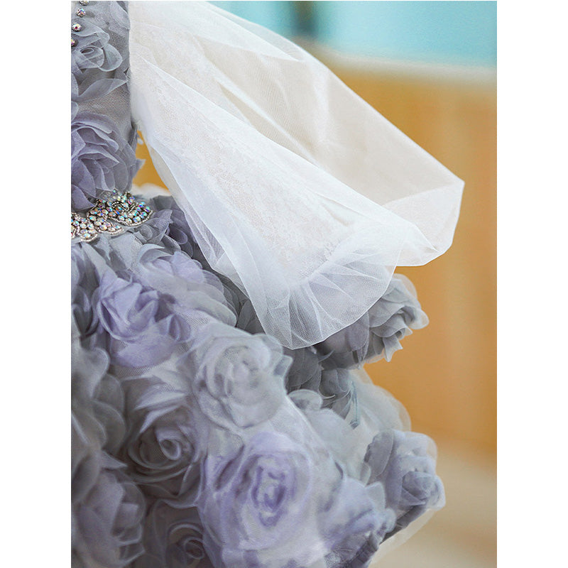 Baby Girl First Communion Dress Flower Girl Princess Dress Rose Beaded Mesh Fluffy Dress
